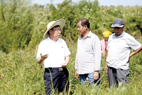 李安平在中藥材基地現場考察